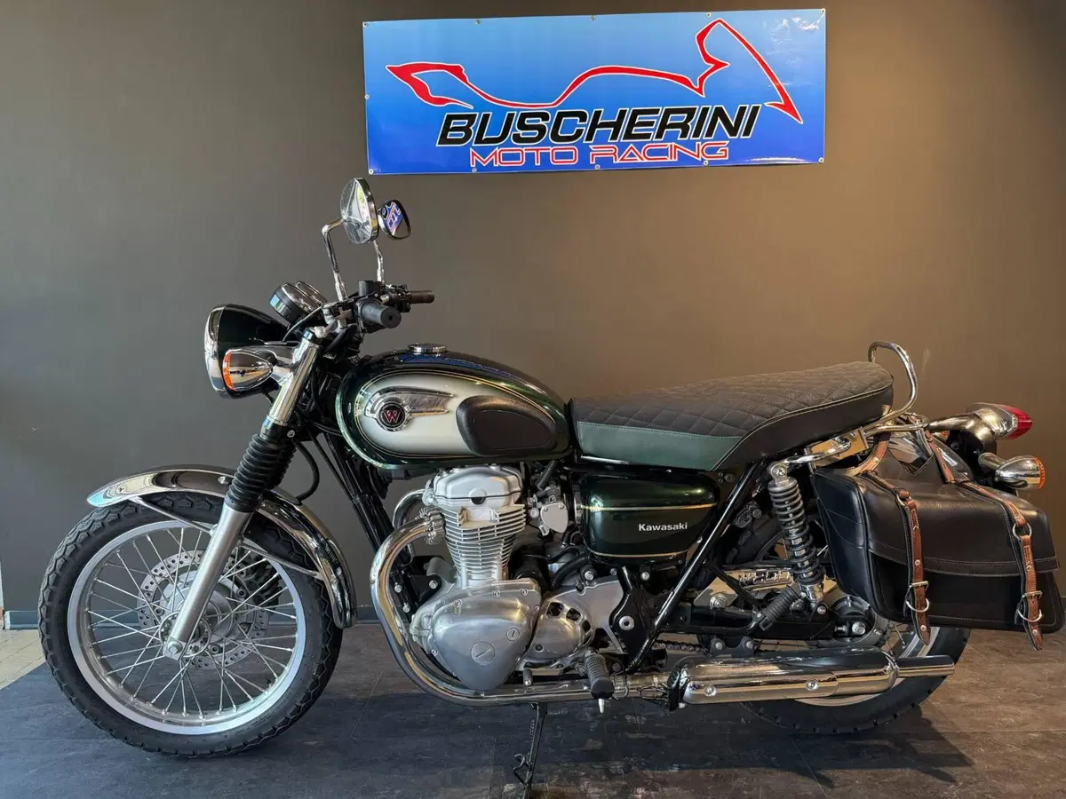 Kawasaki W 800 (2010 - 17) (8)