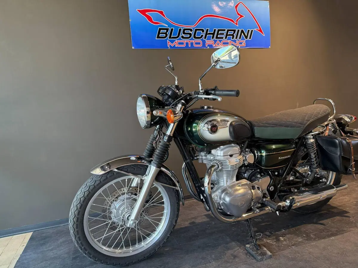 Kawasaki W 800 (2010 - 17) (9)