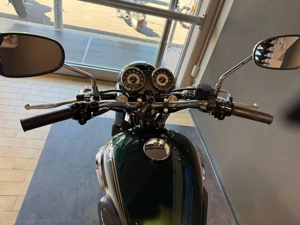 Kawasaki W 800 (2010 - 17) (11)