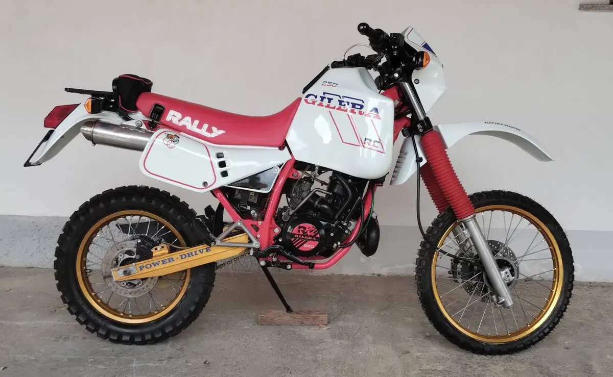 Gilera RC 250 rally  (3)