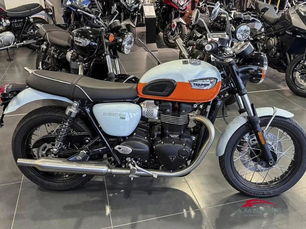 Triumph Bonneville T100 Icon Edition (2025 - 26) (3)
