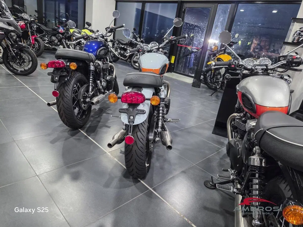 Triumph Bonneville T100 Icon Edition (2025 - 26) (4)