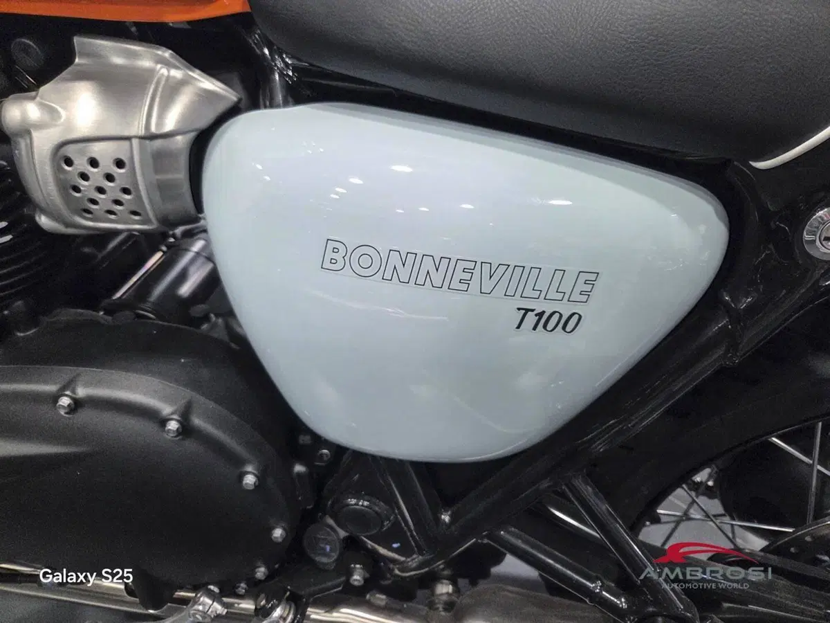 Triumph Bonneville T100 Icon Edition (2025 - 26) (7)