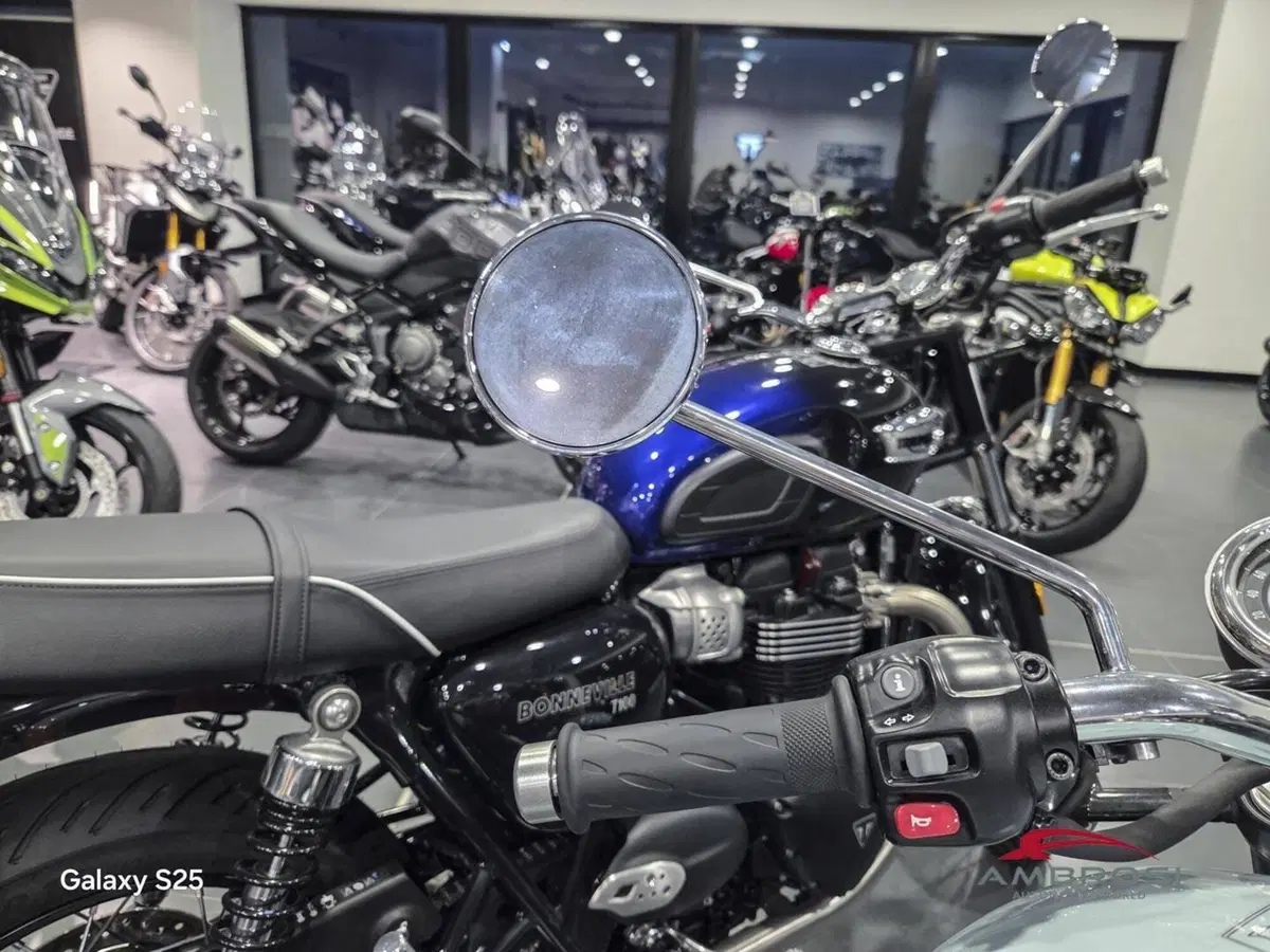 Triumph Bonneville T100 Icon Edition (2025 - 26) (8)