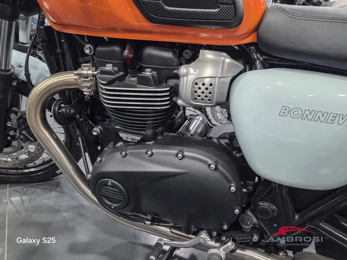 Triumph Bonneville T100 Icon Edition (2025 - 26) (9)