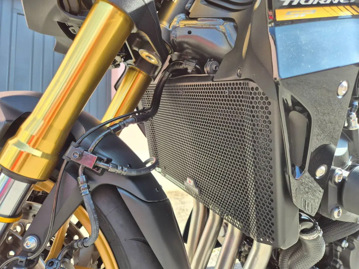 Honda CB 1000 Hornet SP (2025 - 26) (5)