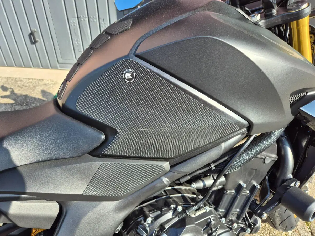 Honda CB 1000 Hornet SP (2025 - 26) (7)
