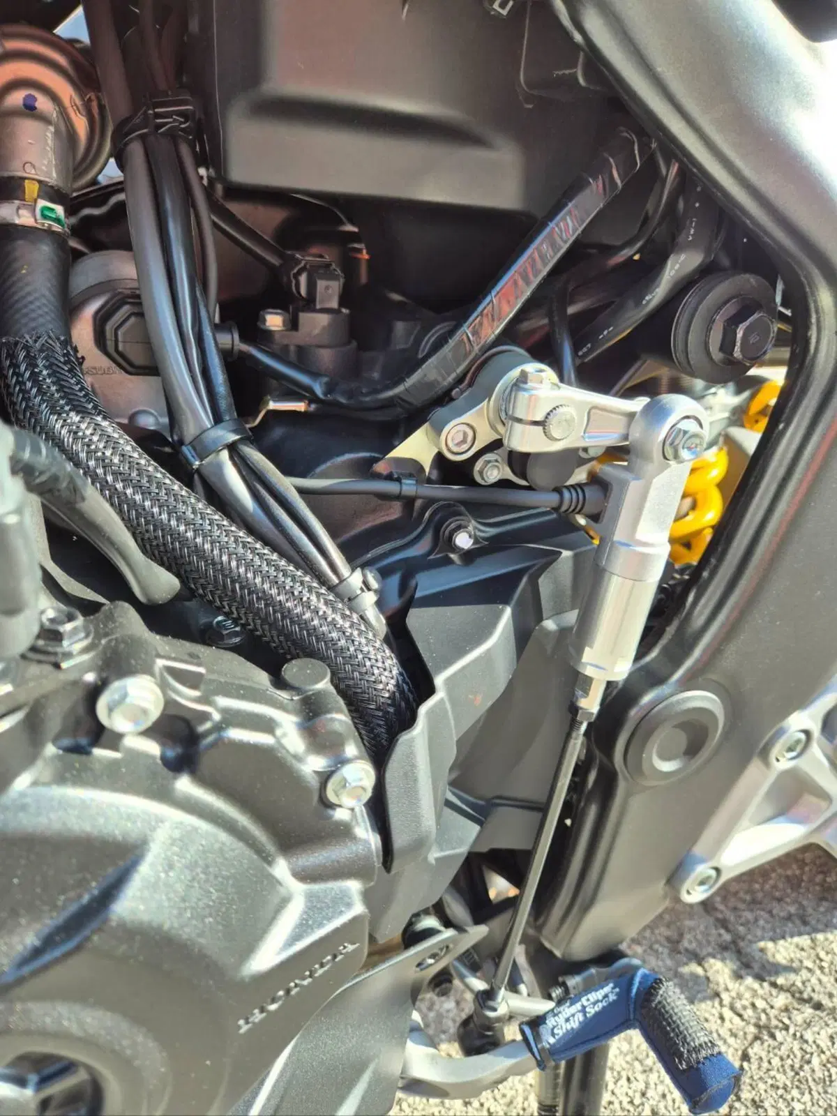 Honda CB 1000 Hornet SP (2025 - 26) (20)