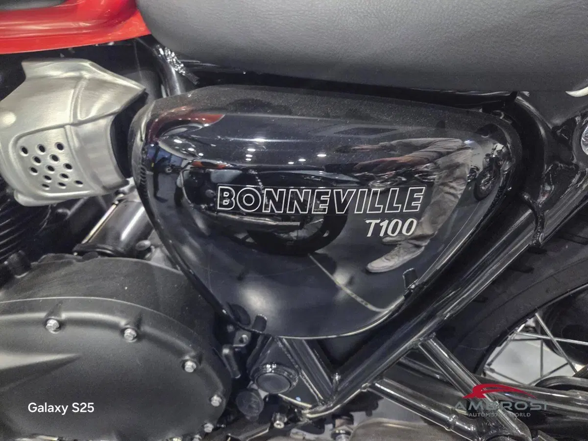 Triumph Bonneville T100 Icon Edition (2025 - 26) (4)