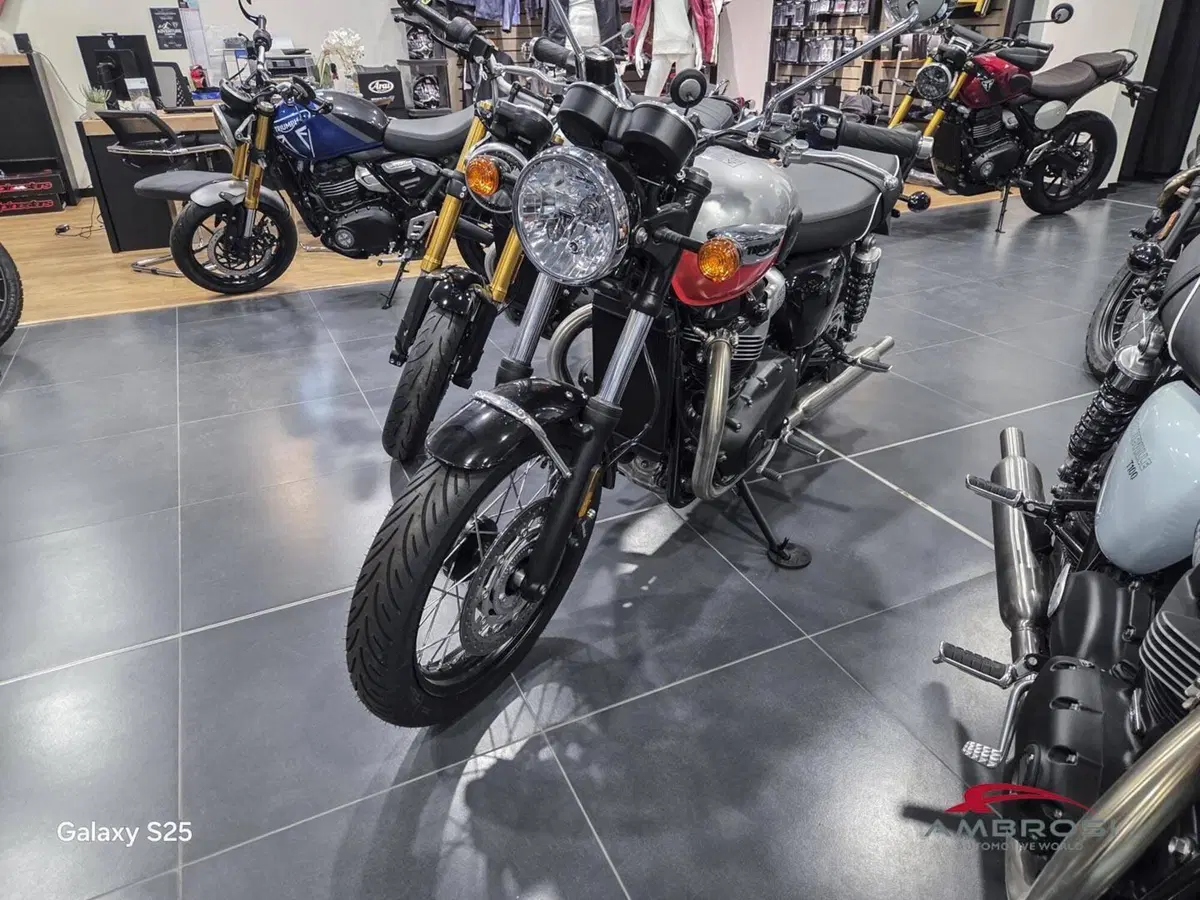 Triumph Bonneville T100 Icon Edition (2025 - 26) (5)