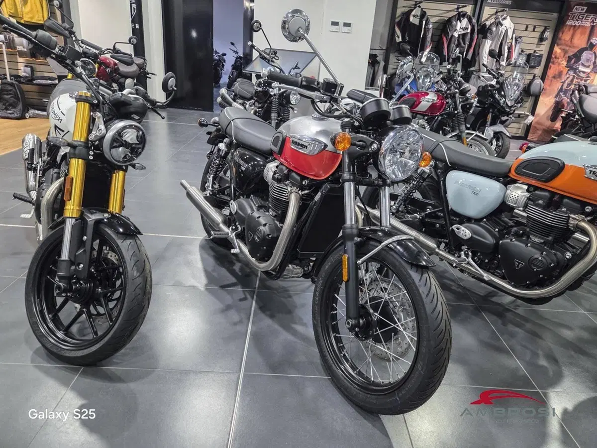 Triumph Bonneville T100 Icon Edition (2025 - 26) (6)