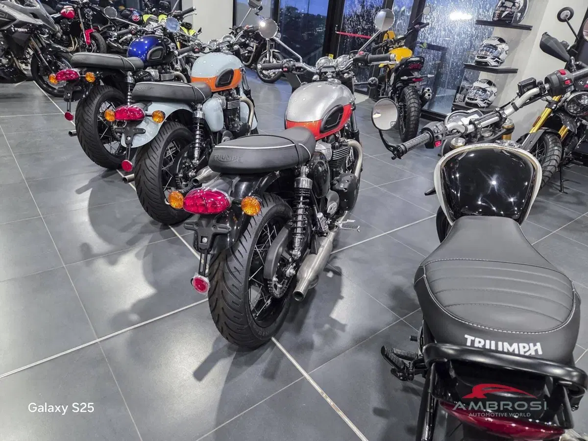 Triumph Bonneville T100 Icon Edition (2025 - 26) (7)