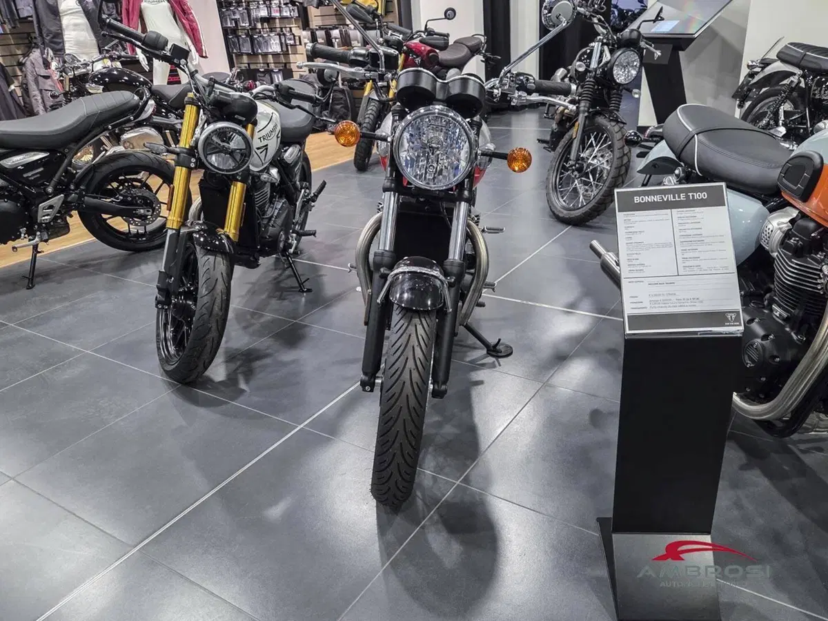 Triumph Bonneville T100 Icon Edition (2025 - 26) (10)