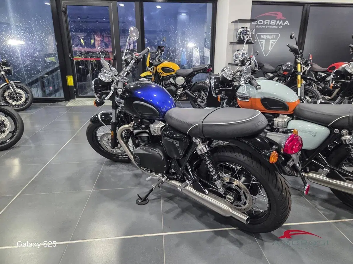 Triumph Bonneville T100 Icon Edition (2025 - 26) (2)