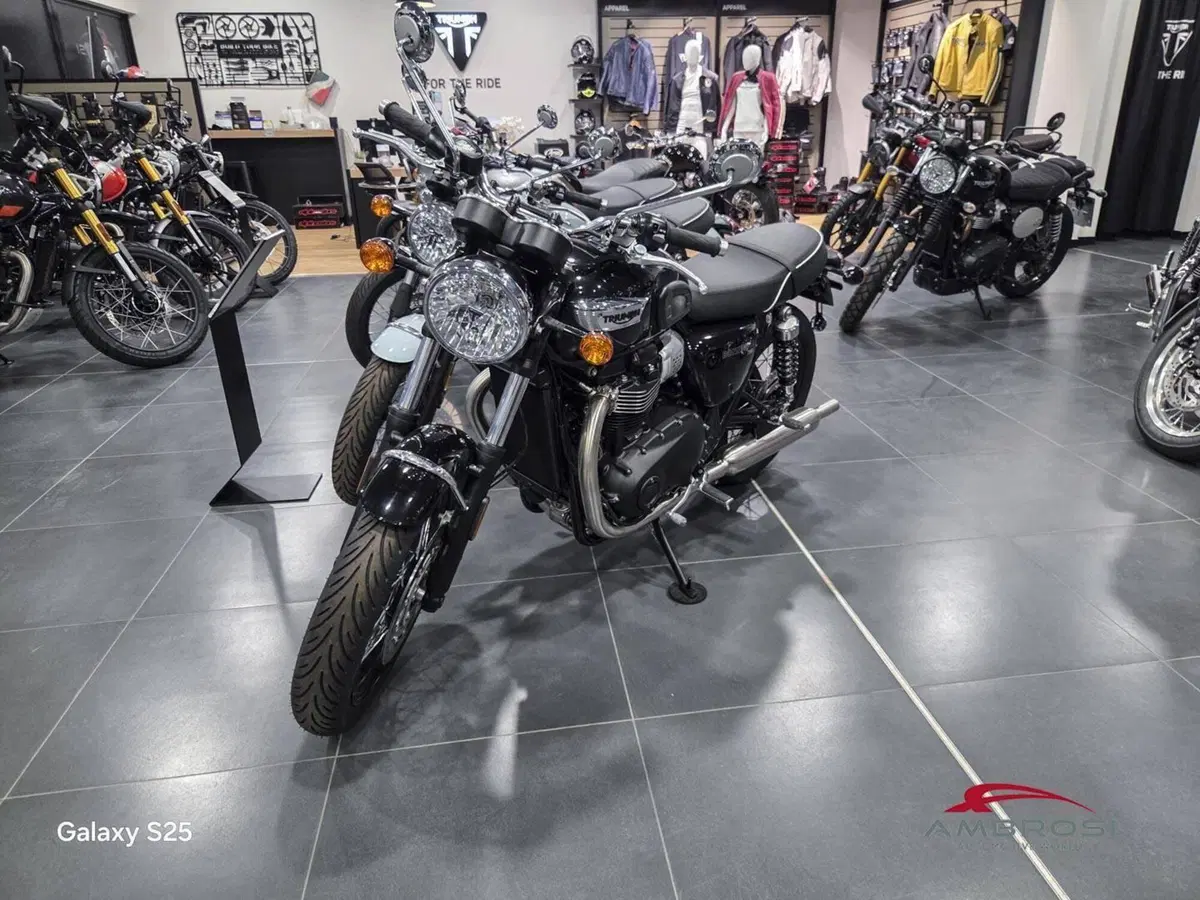 Triumph Bonneville T100 Icon Edition (2025 - 26) (3)