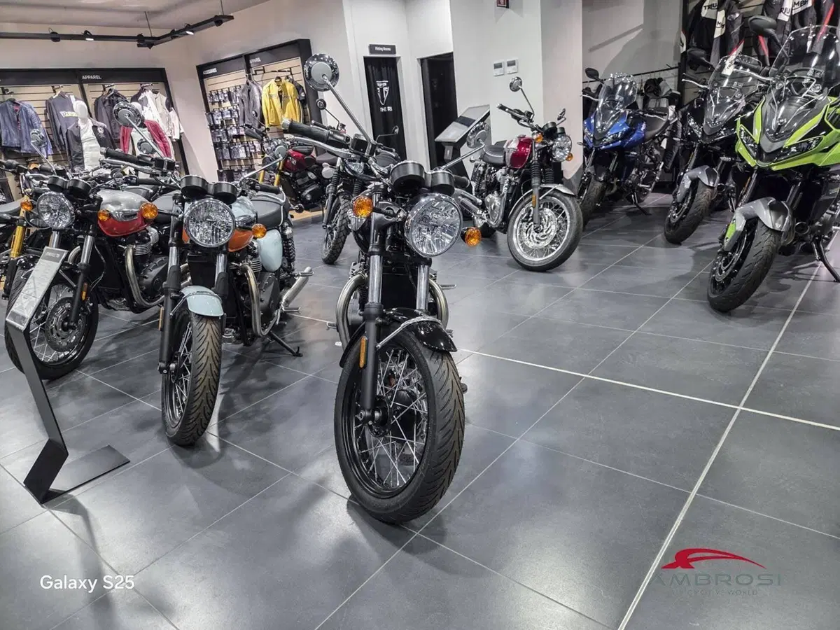 Triumph Bonneville T100 Icon Edition (2025 - 26) (5)