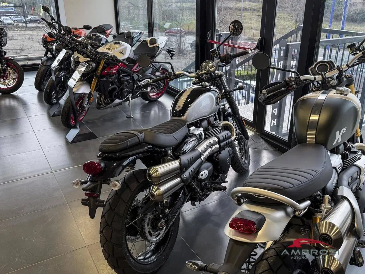 Triumph Scrambler 900 Icon Edition (2025 - 26) (2)