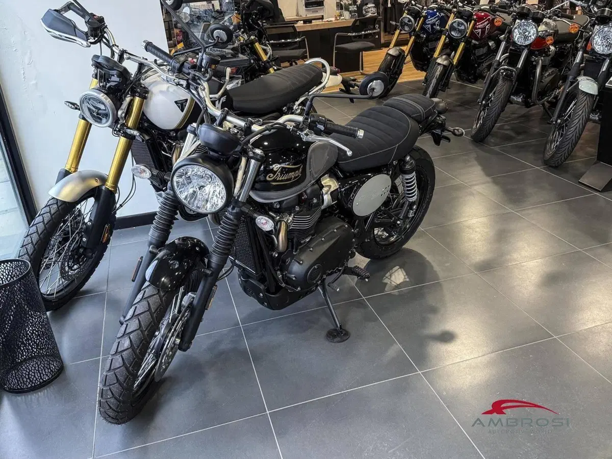 Triumph Scrambler 900 Icon Edition (2025 - 26) (3)