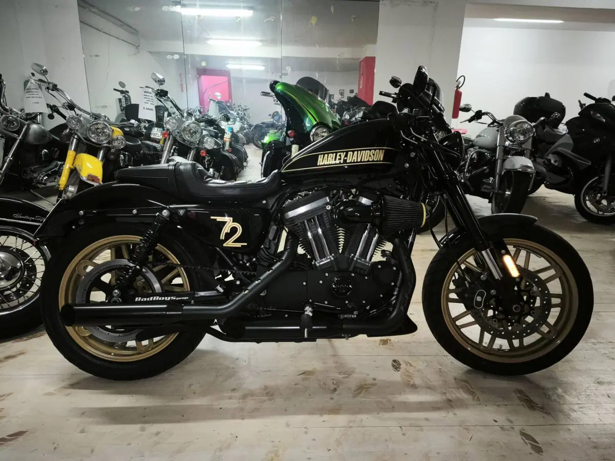 Harley-Davidson 1200 Roadster (2017 - 20) - XL 1200R