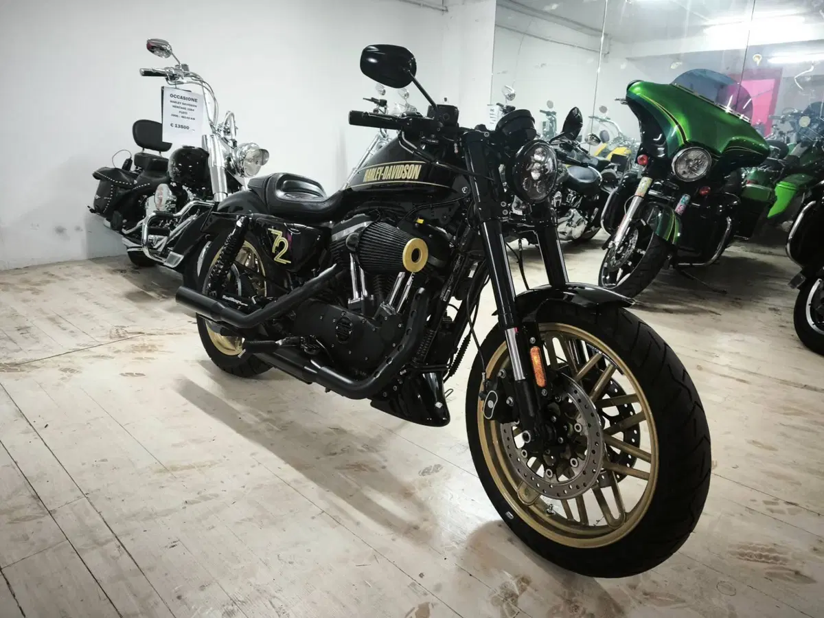 Harley-Davidson 1200 Roadster (2017 - 20) - XL 1200R (2)