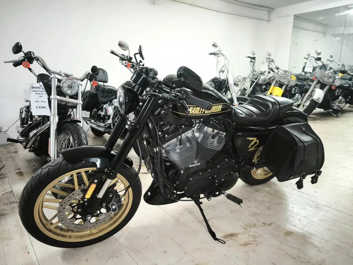 Harley-Davidson 1200 Roadster (2017 - 20) - XL 1200R (3)