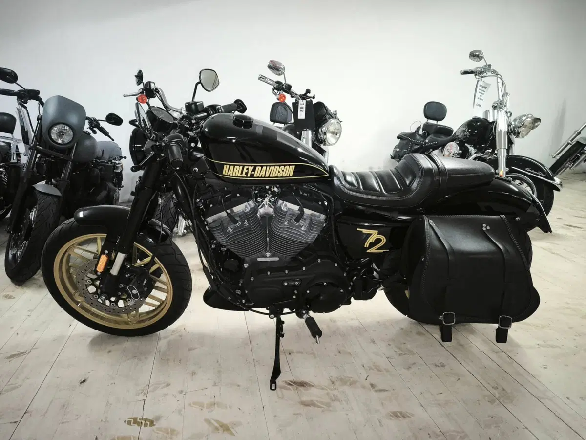 Harley-Davidson 1200 Roadster (2017 - 20) - XL 1200R (4)