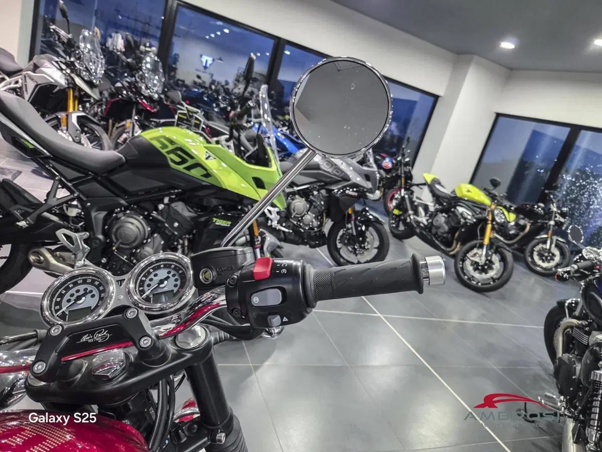 Triumph Bonneville T120 Icon Edition (2025 - 26) (3)