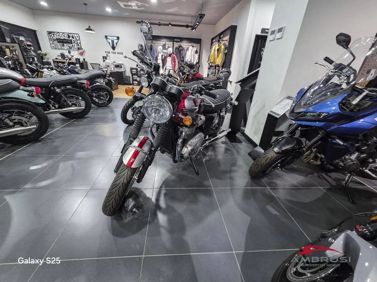 Triumph Bonneville T120 Icon Edition (2025 - 26) (5)
