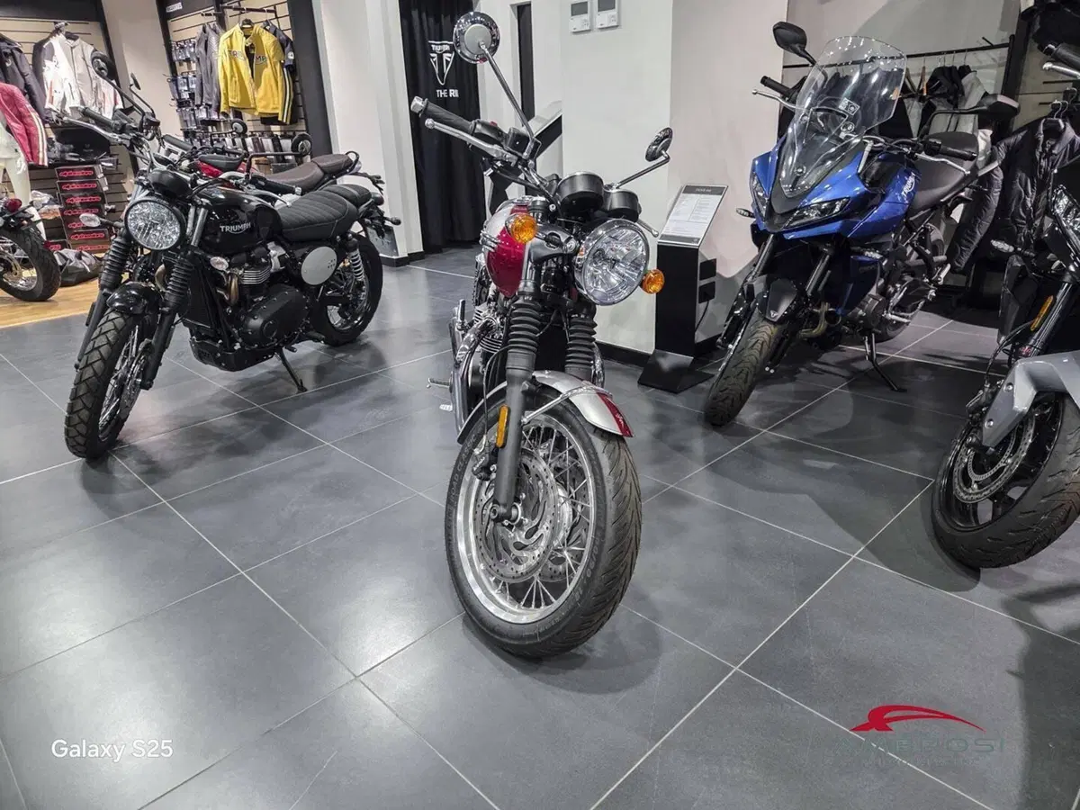 Triumph Bonneville T120 Icon Edition (2025 - 26) (6)