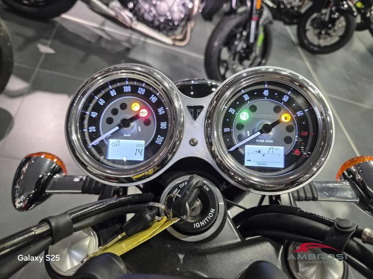 Triumph Bonneville T120 Icon Edition (2025 - 26) (10)