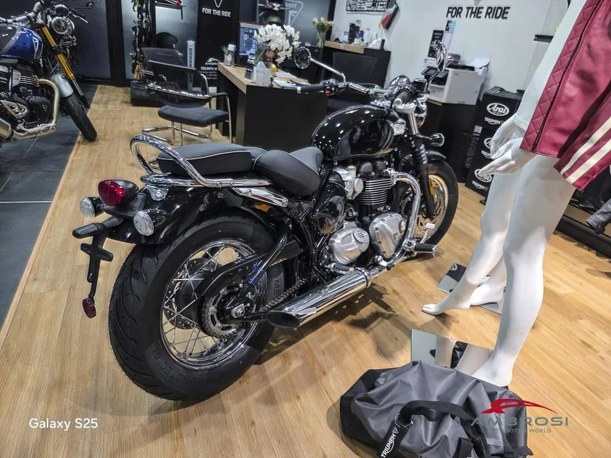 Triumph Bonneville Speedmaster 1200 Icon Edition (2025 - 26) (2)