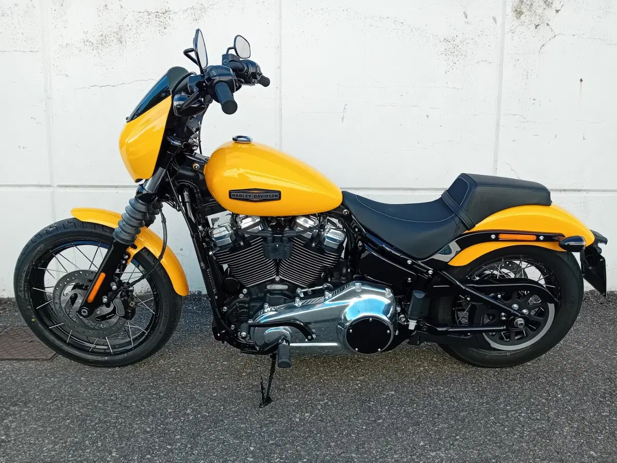 Harley-Davidson Street Bob 117 (2025 - 26) (2)