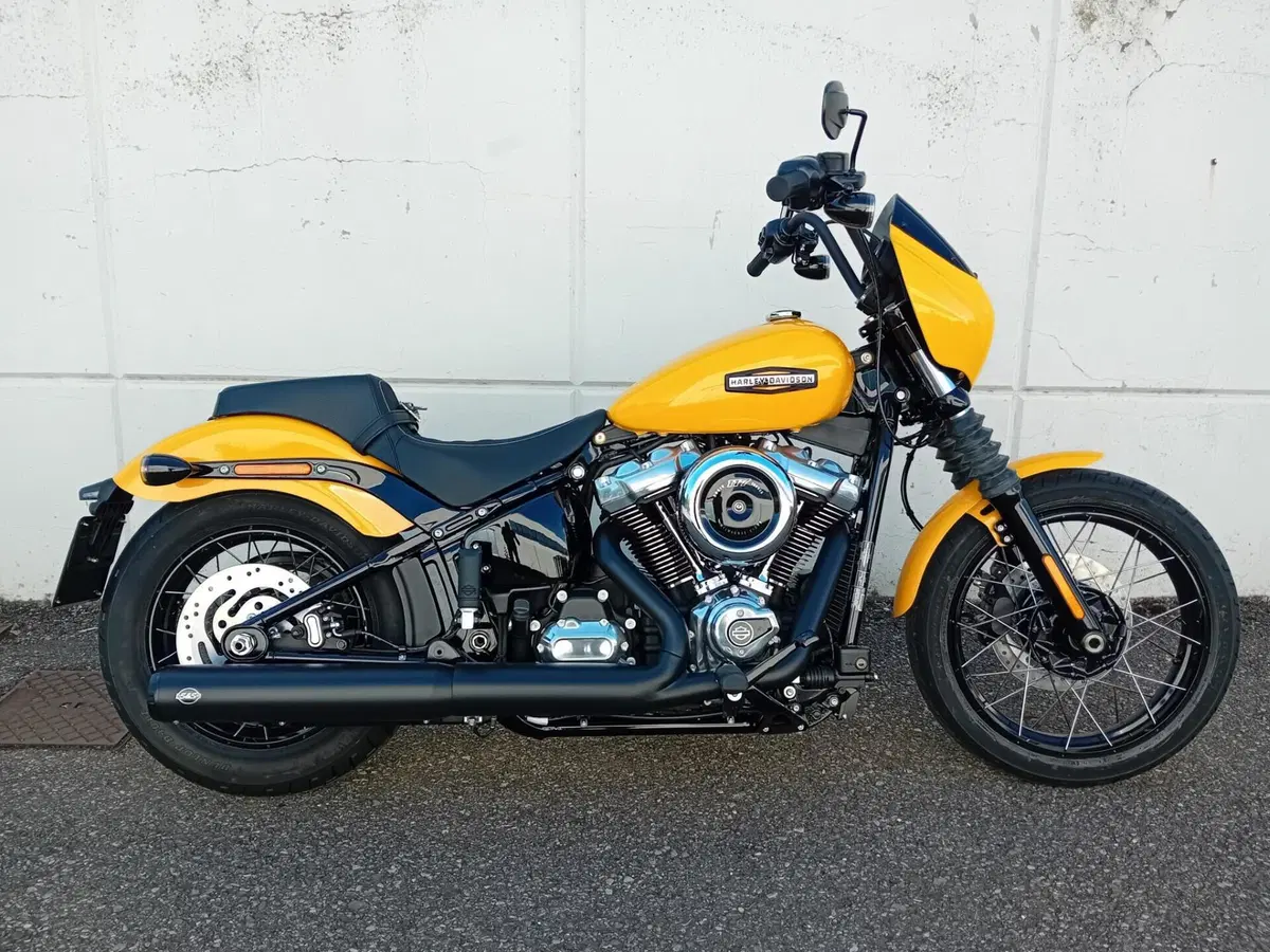 Harley-Davidson Street Bob 117 (2025 - 26)