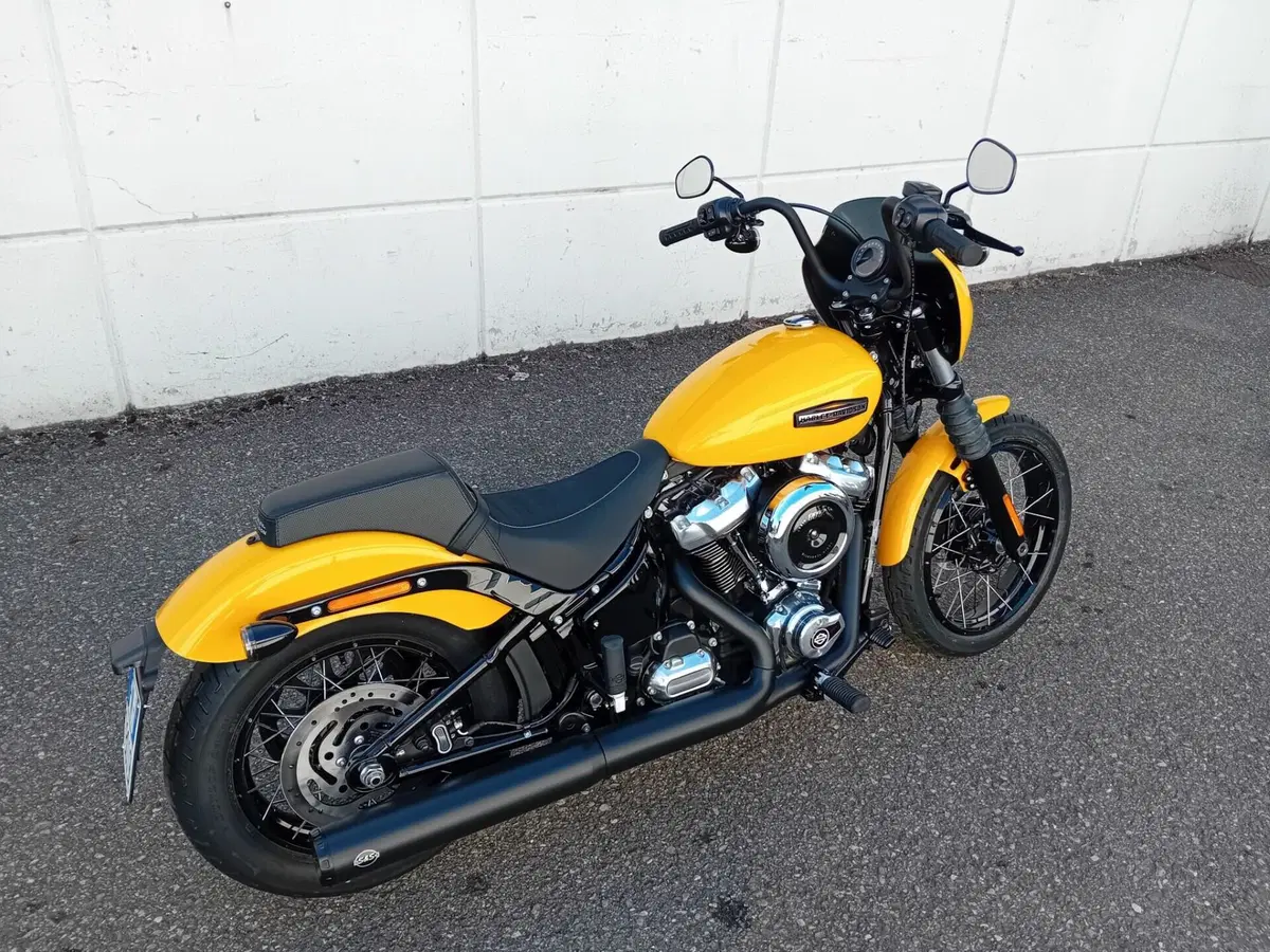 Harley-Davidson Street Bob 117 (2025 - 26) (3)