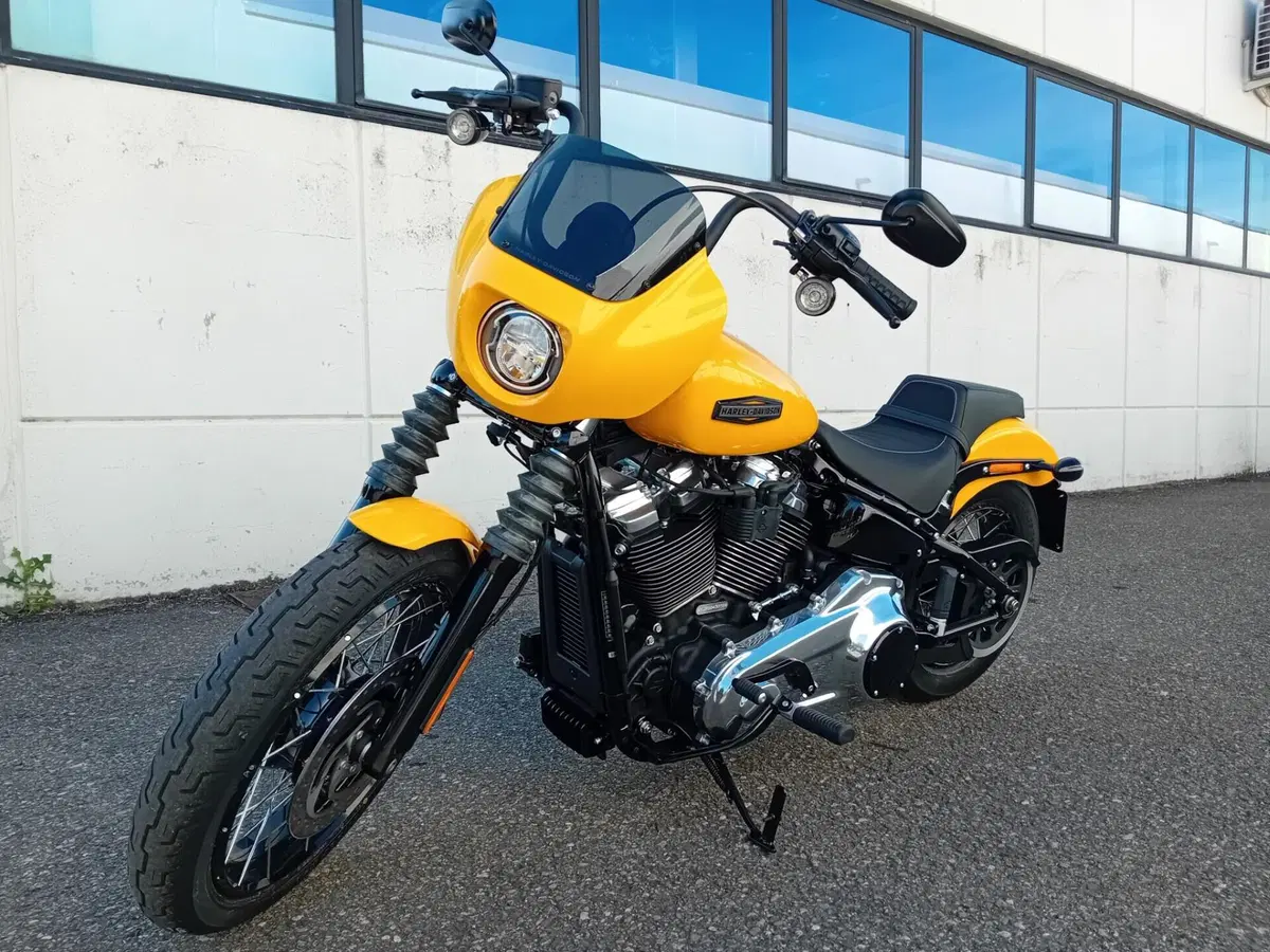 Harley-Davidson Street Bob 117 (2025 - 26) (4)