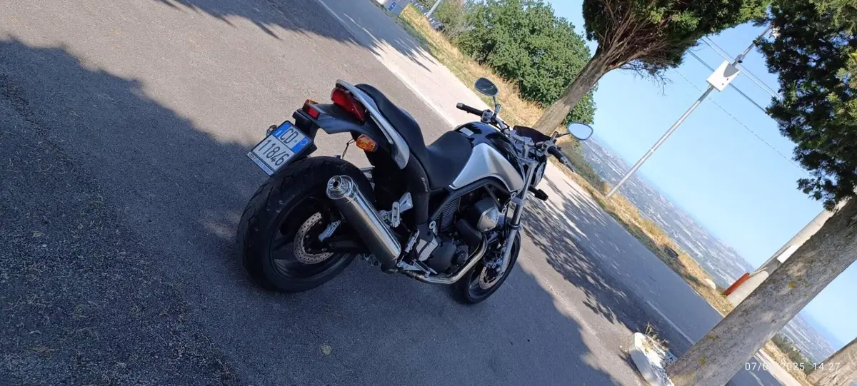 Yamaha BT 1100 Bulldog (4)
