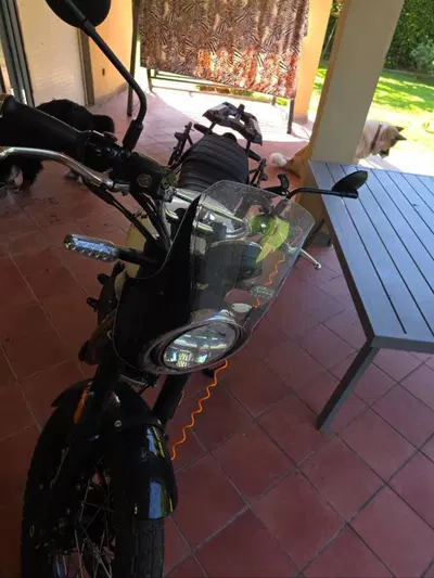 Royal Enfield Bear 650 (2025 - 26) usata