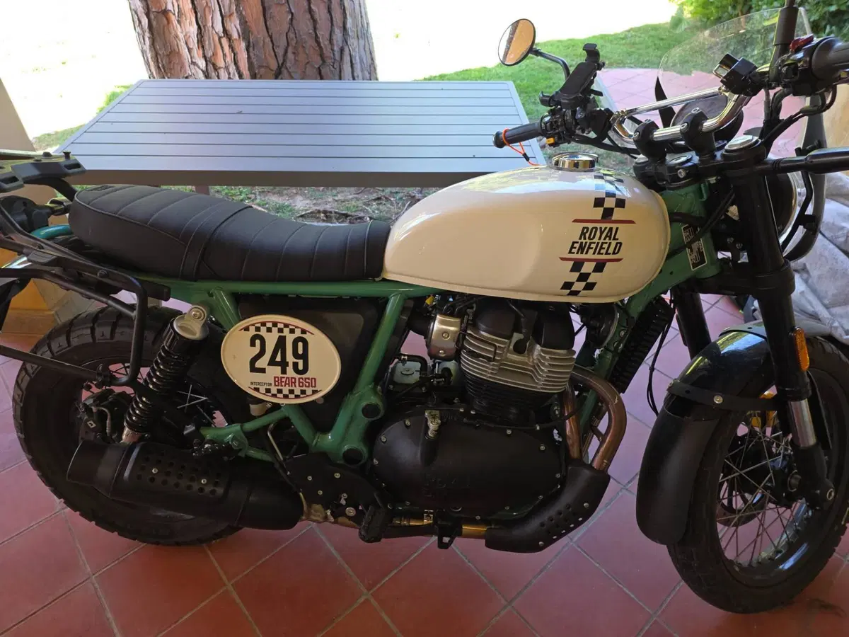 Royal Enfield Bear 650 (2025 - 26) (4)