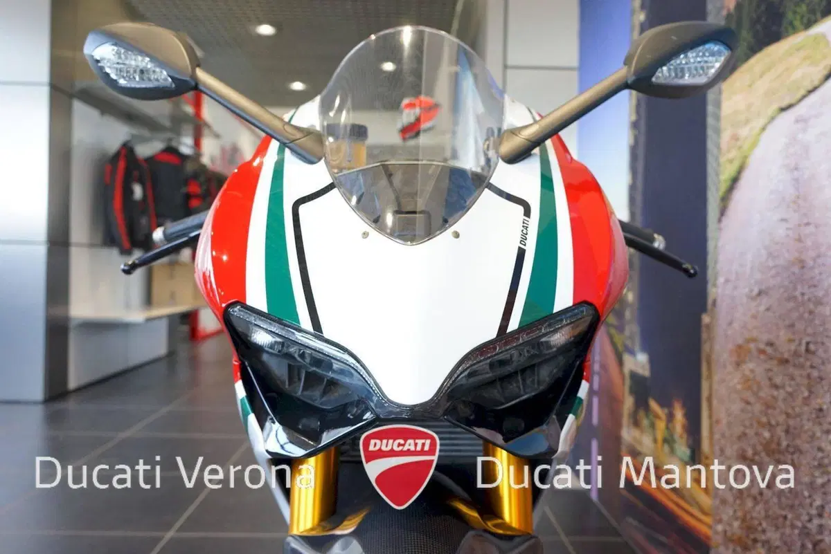 Ducati 1199 Panigale S Tricolore (2012 - 14) (8)