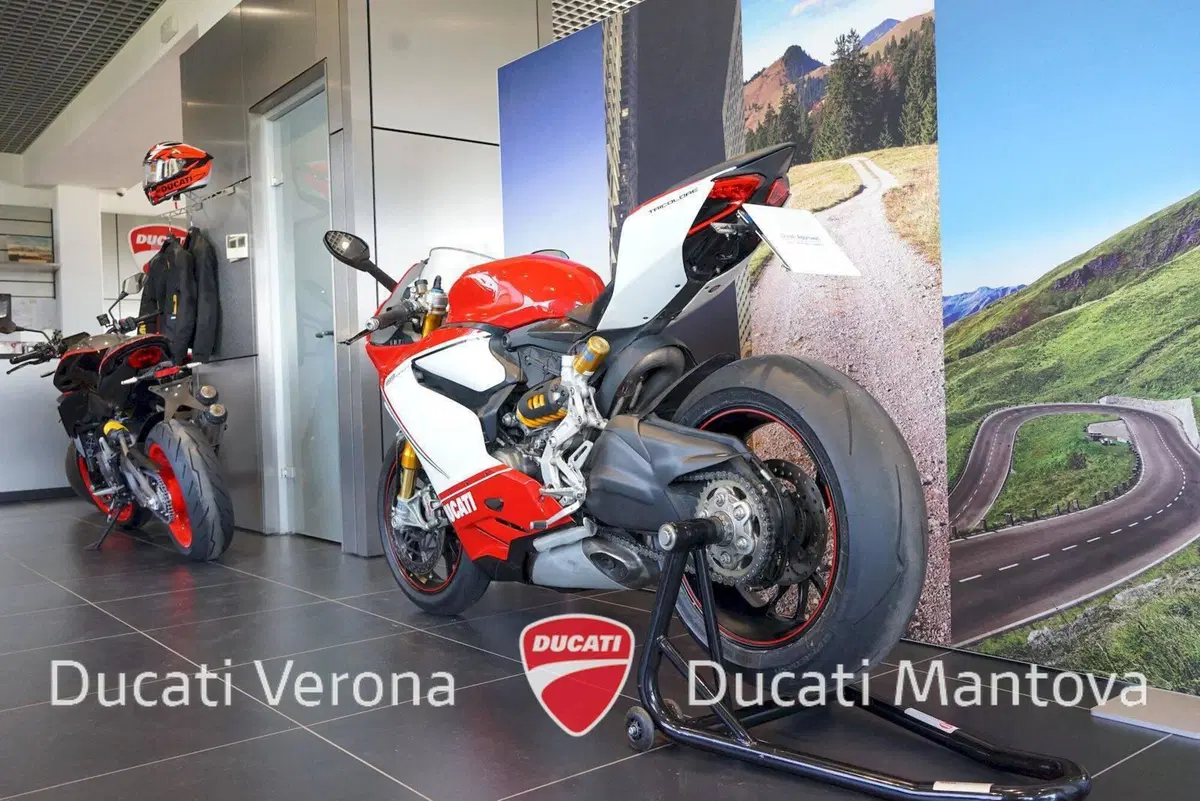 Ducati 1199 Panigale S Tricolore (2012 - 14) (14)