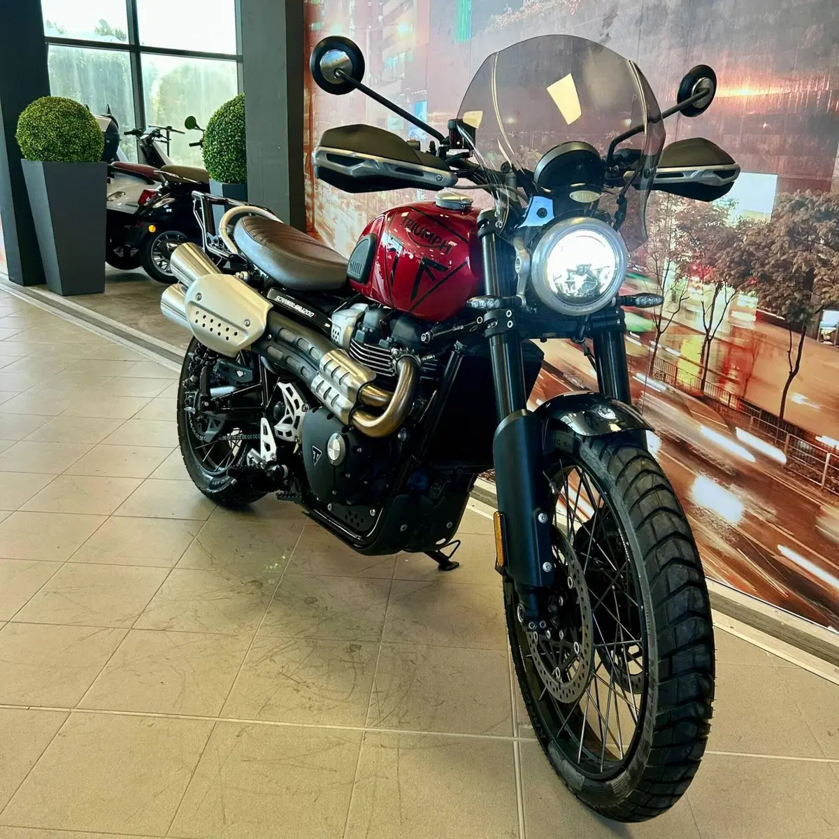 Triumph Scrambler 1200 XE (2024 - 25) (3)