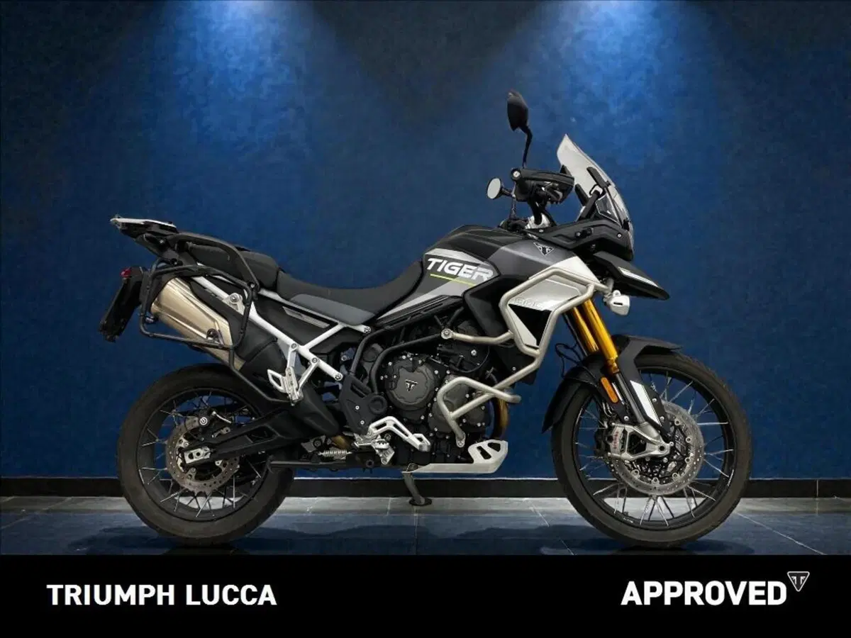 Triumph Tiger 900 Rally Aragón Edition (2023 - 24) (2)