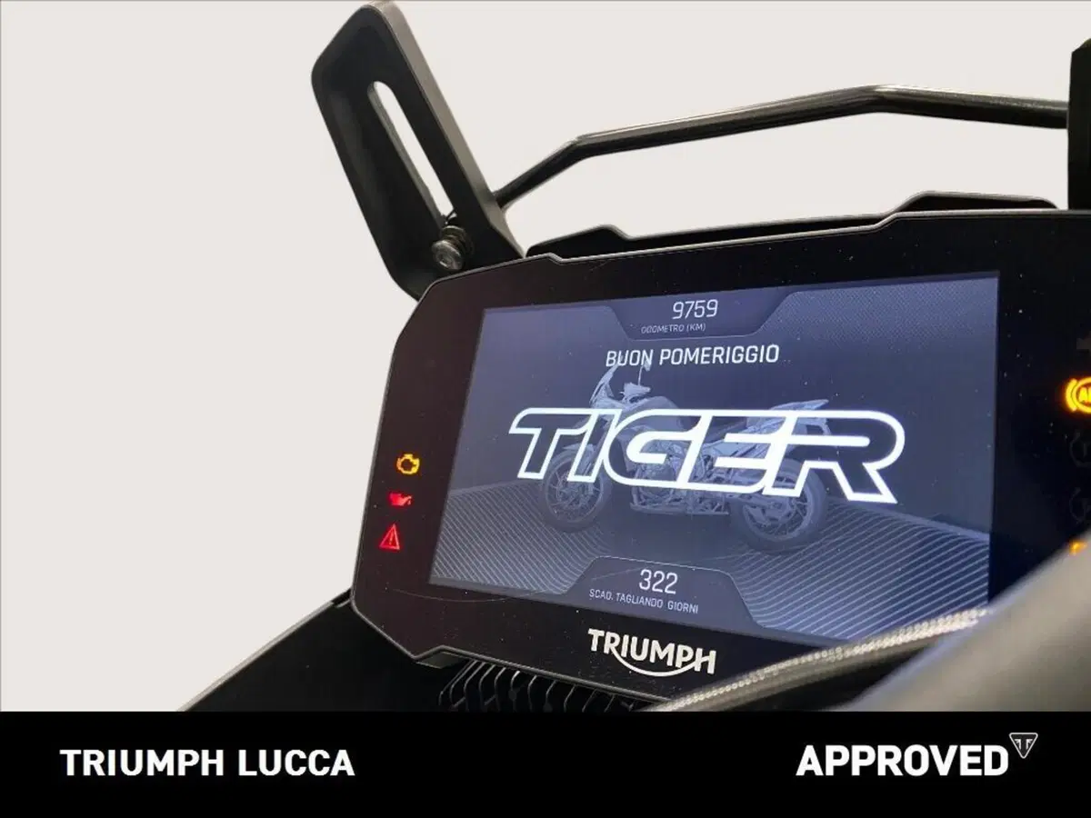 Triumph Tiger 900 Rally Aragón Edition (2023 - 24) (5)