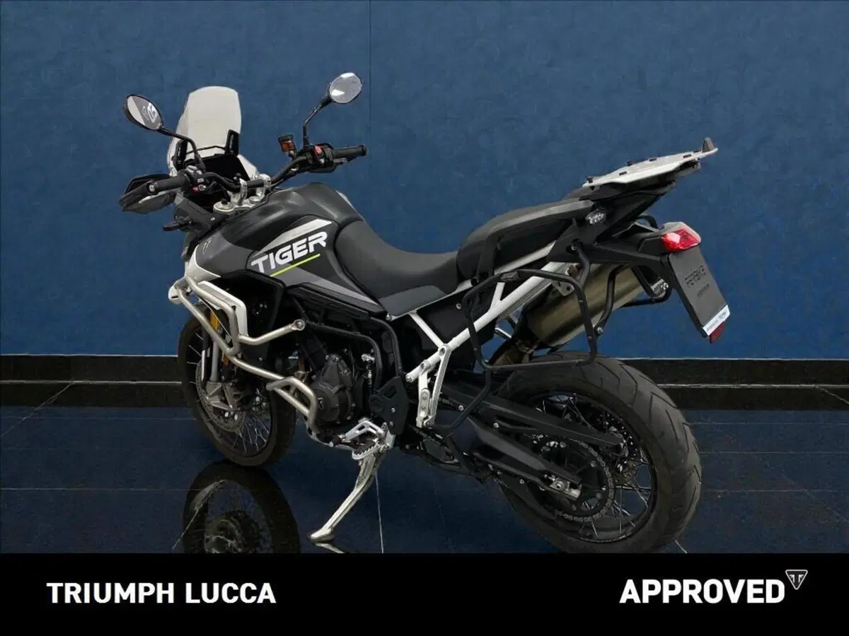 Triumph Tiger 900 Rally Aragón Edition (2023 - 24) (6)
