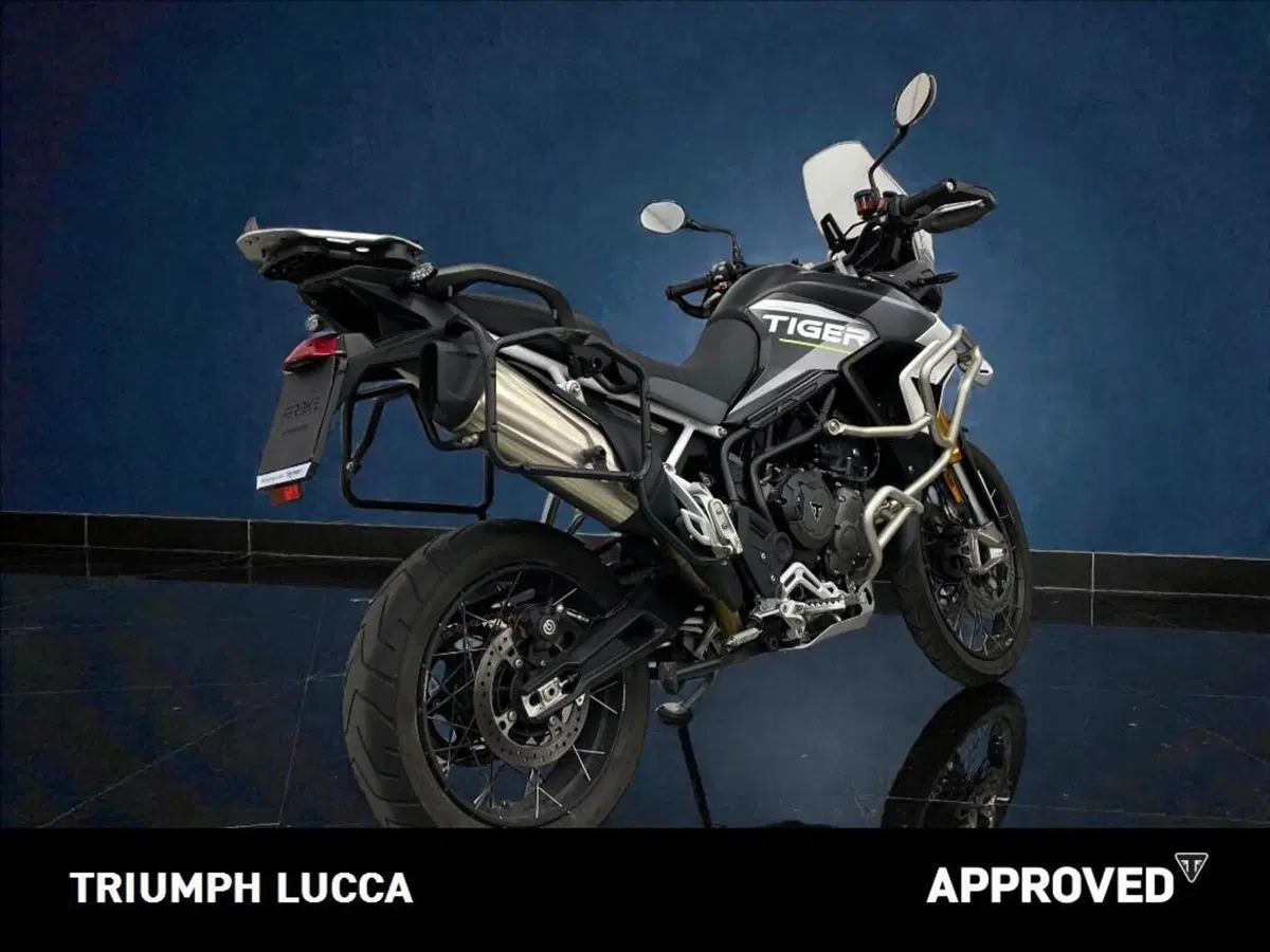 Triumph Tiger 900 Rally Aragón Edition (2023 - 24) (8)