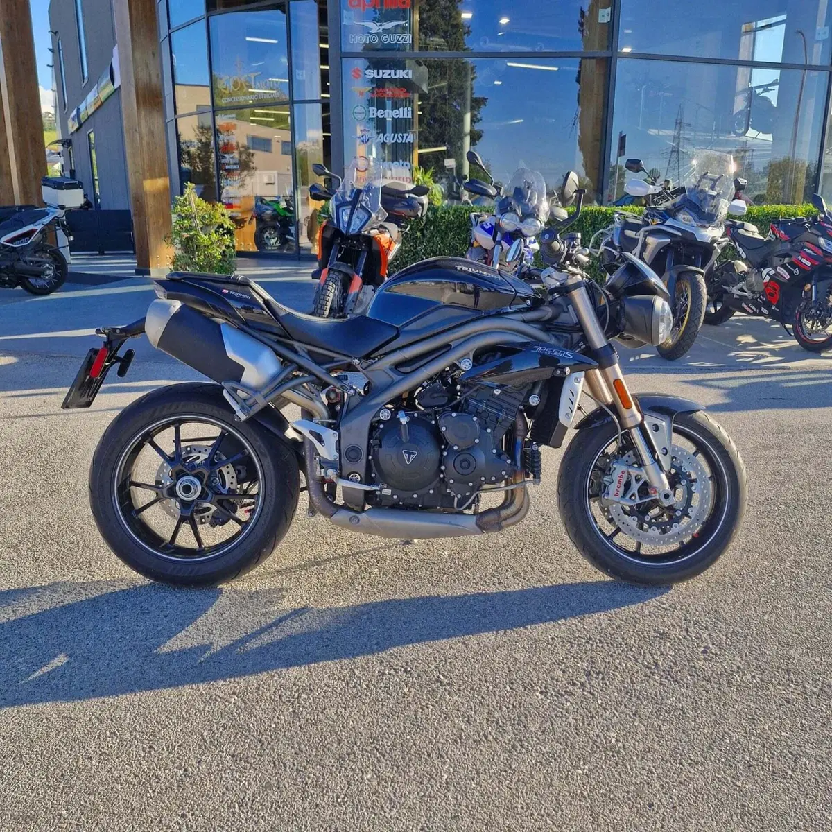 Triumph Speed Triple 1050 S ABS (2016 - 17) (9)