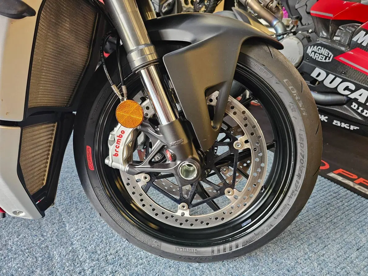Ducati Streetfighter V4 1100 (2020) (9)