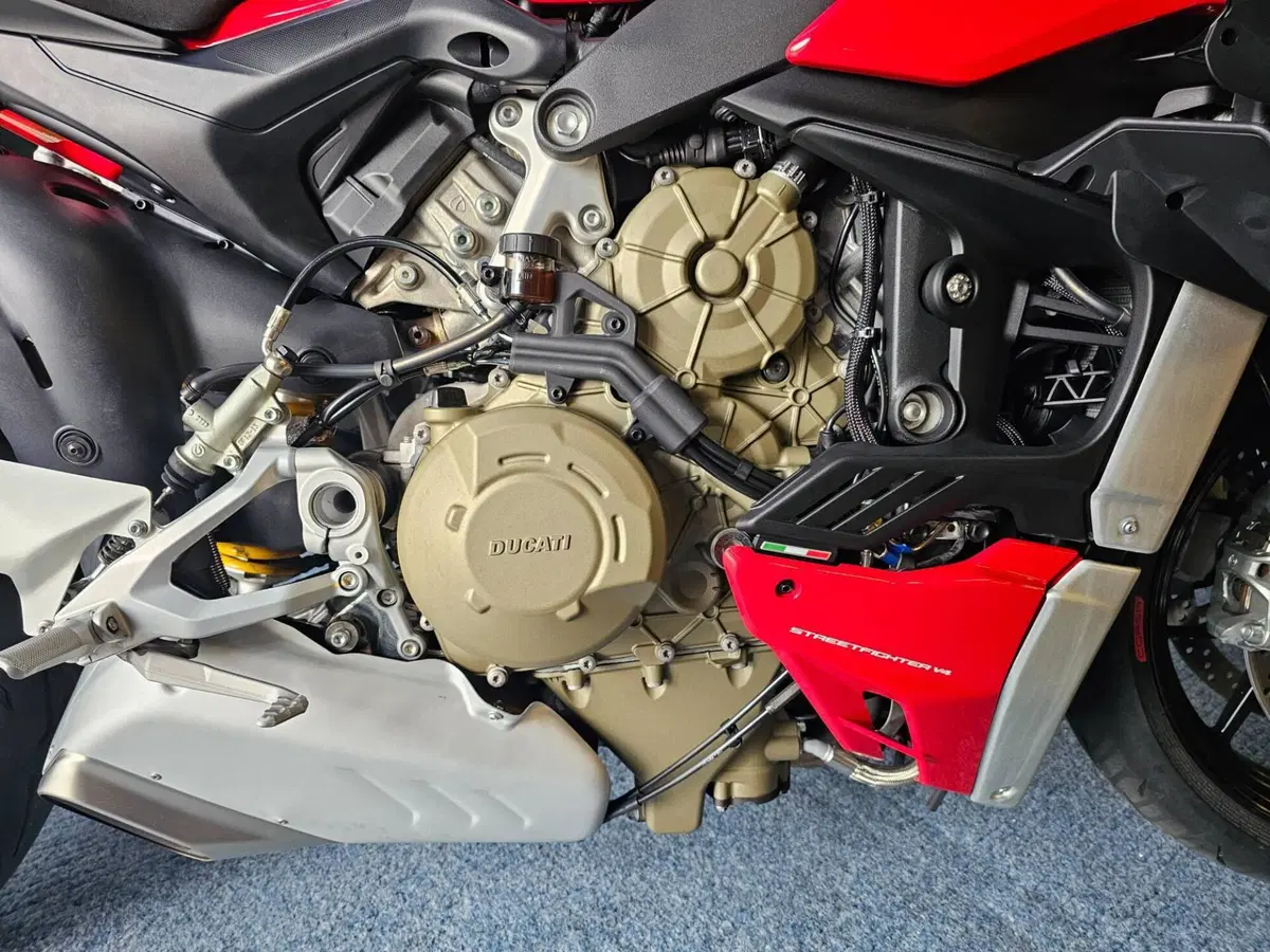 Ducati Streetfighter V4 1100 (2020) (4)