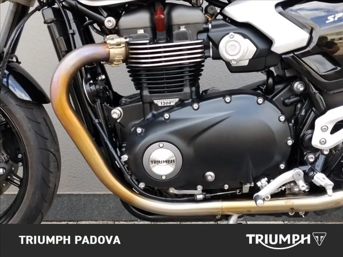Triumph Speed Twin 1200 (2025 - 26) (8)