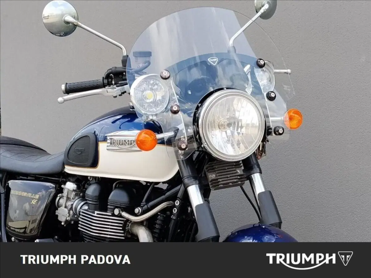 Triumph Bonneville SE (2009 - 13) (5)